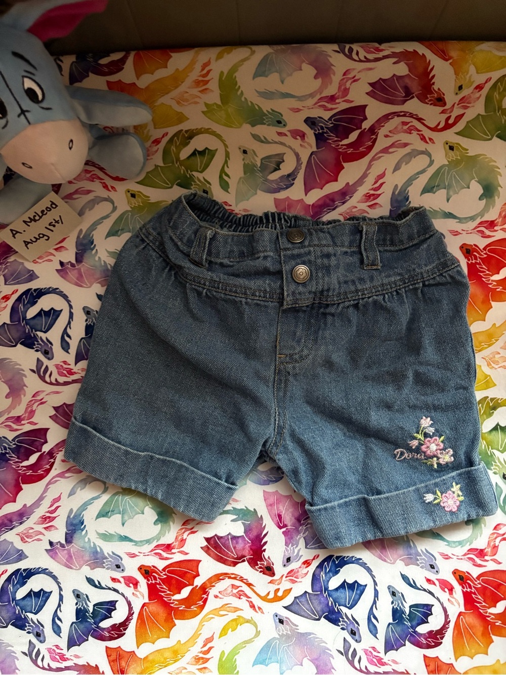 Vintage Denim Floral Embroidered Y2K Shorts - Dora the Explorer